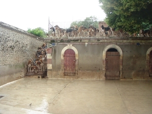 DSC02119