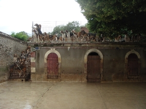 DSC02120
