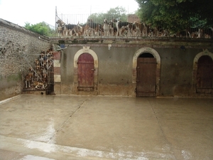 DSC02121