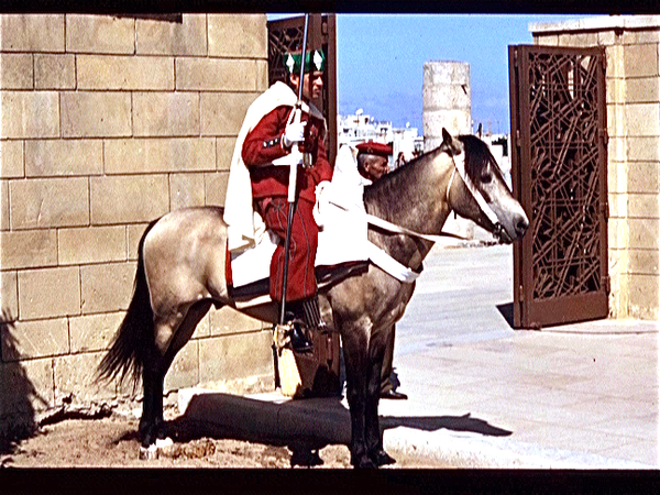 Mausoleum Mohammed V