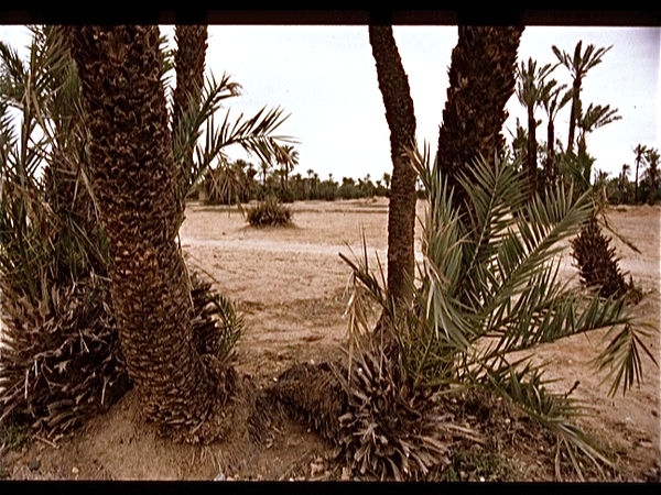 Marrakech
