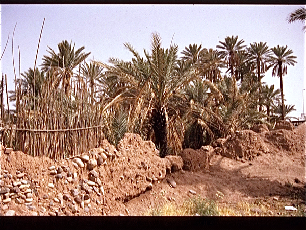 Marrakech