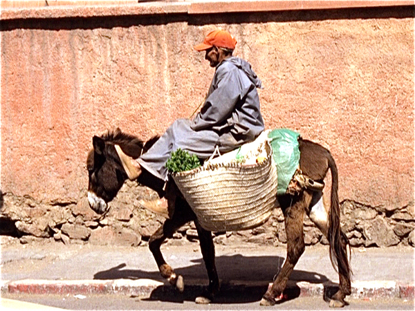 Marrakech