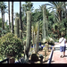 Tuin van Majorelle