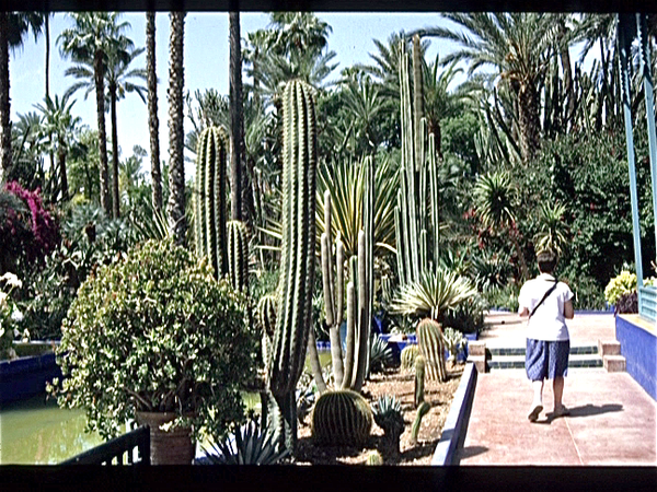 Tuin van Majorelle