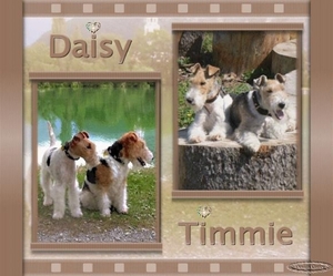 Timmie en  Daisy