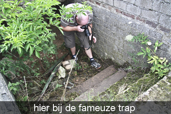 070 trap rik00