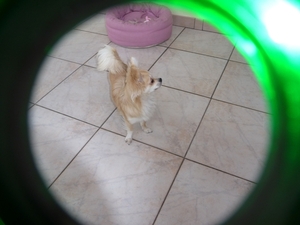 wandeling oostkanp 063