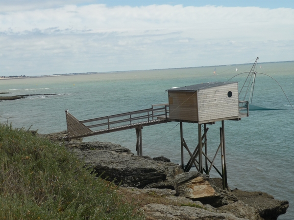 vissen met net langs de kust