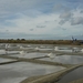 zoutwinning marais salants