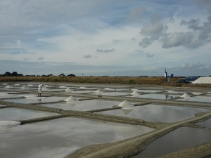 zoutwinning marais salants