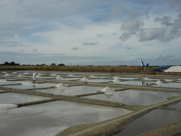 zoutwinning marais salants