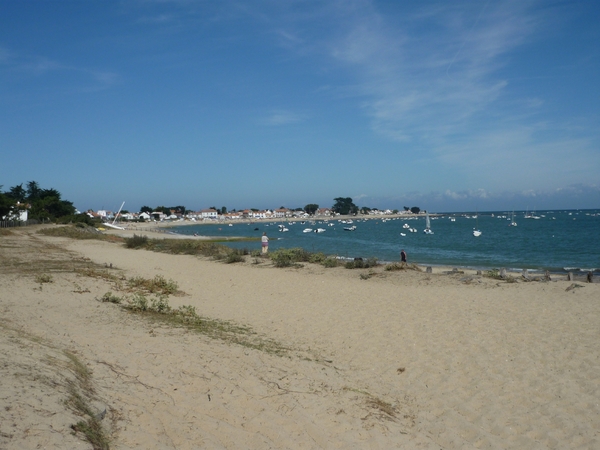 strand