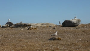 vogelreservaat