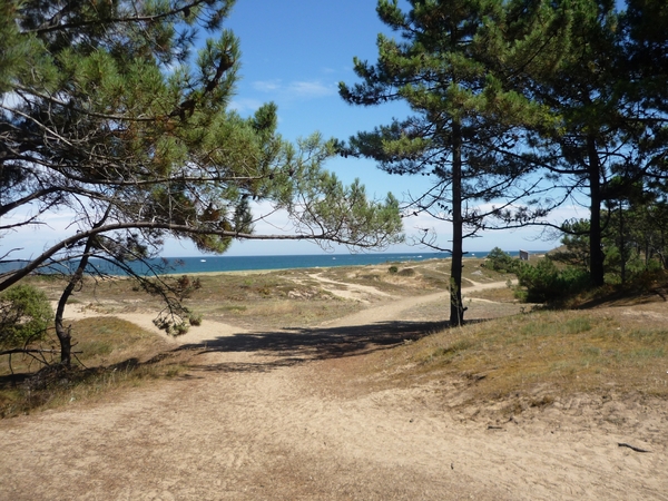 plade des sapins