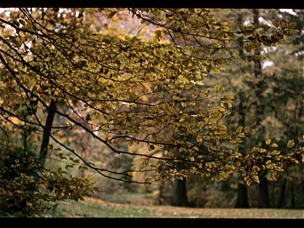 Middelheim en Danny