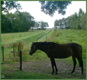 drenthe2010-60