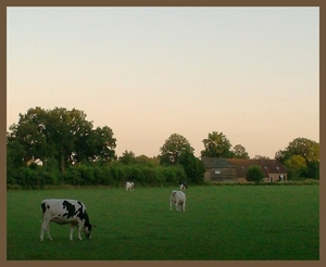 drenthe2010-110