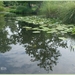drenthe2010-122