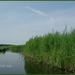 drenthe2010-128
