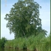 drenthe2010-129