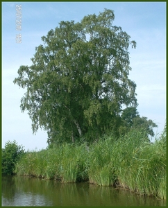 drenthe2010-129