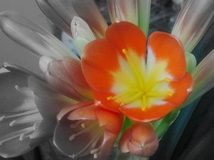 1a784ff79c6fe0479782ec2cfbbf7959