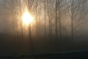 47df8aac4d027e38ef1b20e169fe0d50-1