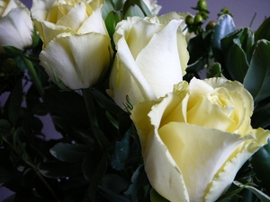 59cb1941d2a33f3934f5daa3d428ed00-1