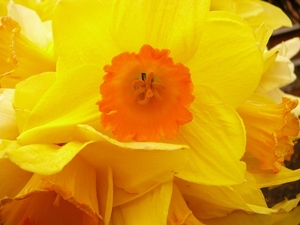 e192ee8d91dc4a537df5fa04b801266a