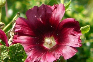 e858042dcb2fba6682479dbe481be63f