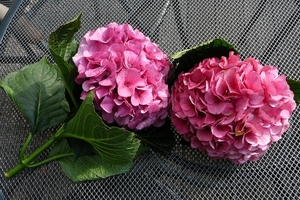 fb9e5f99eabee2cf0d96d100753a6ab8