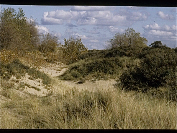 De Panne