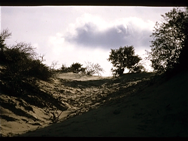 De Panne