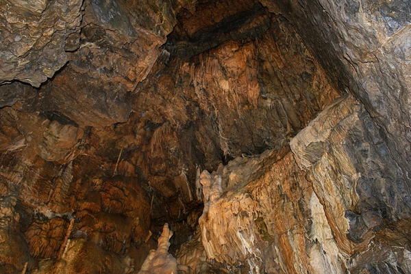 043 Méan opa 65 jaar zaterdag 26 juni 2010