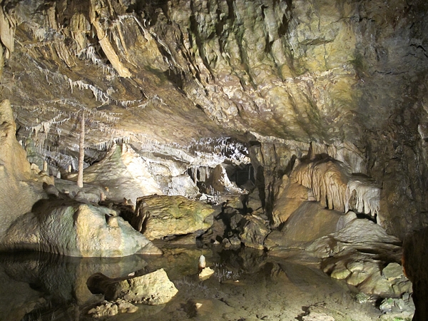 060 Méan opa 65 jaar zaterdag 26 juni 2010