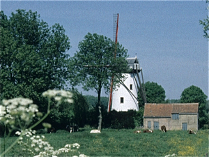 Damme