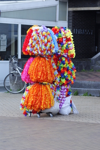DSC07690