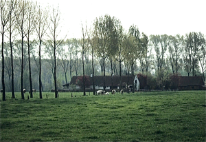 Tuinen en kasteel van Ooidonck