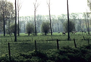 Tuinen en kasteel van Ooidonck