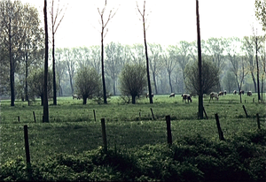 Tuinen en kasteel van Ooidonck