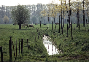 Tuinen en kasteel van Ooidonck