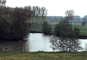 Tuinen en kasteel van Ooidonck