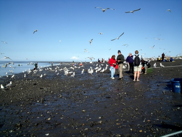 DSCF0135