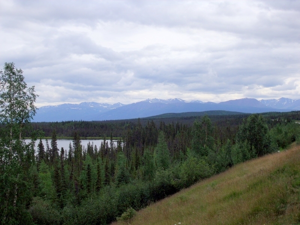 DSCF0347