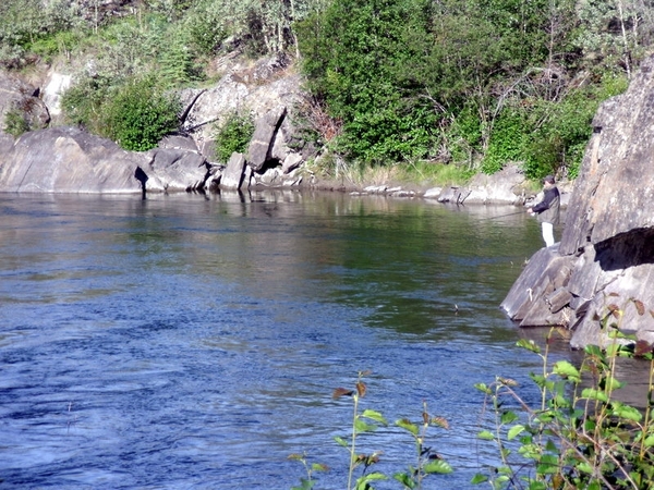 DSCF0460
