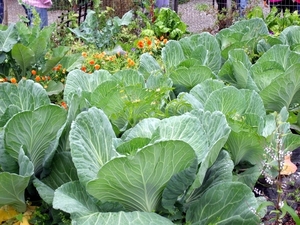 DSCF0682