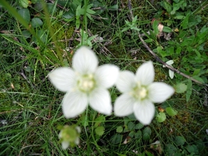 DSCF0868