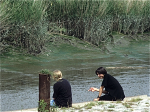 Durme- en Scheldeland