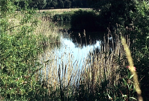 Durme- en Scheldeland